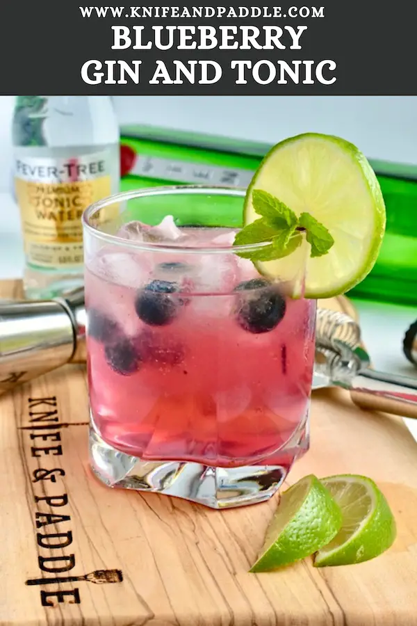 Blueberry Gin and Tonic served with fresh blueberries, a lime wheel and fresh mint sprig