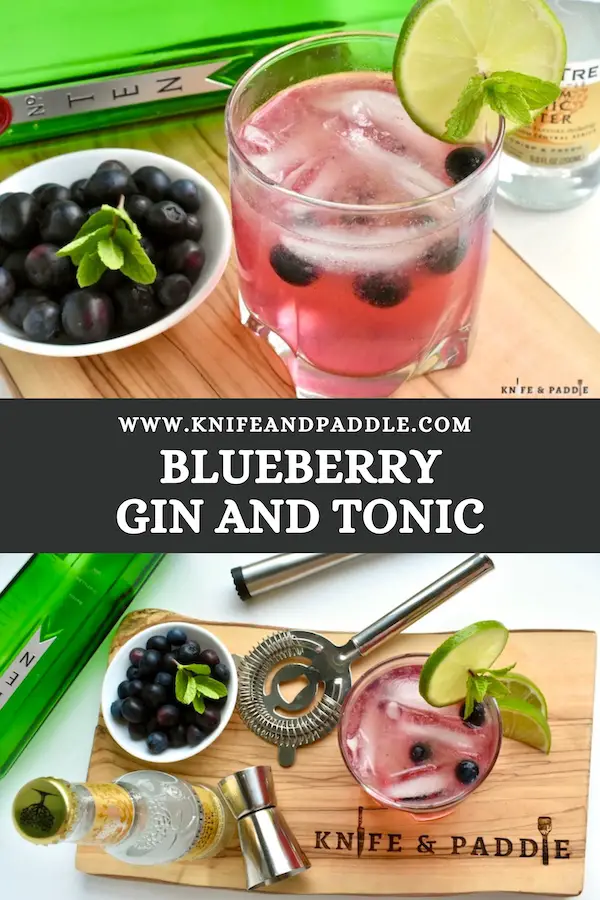 Blueberry Gin and Tonic served with fresh blueberries, a lime wheel and fresh mint sprig