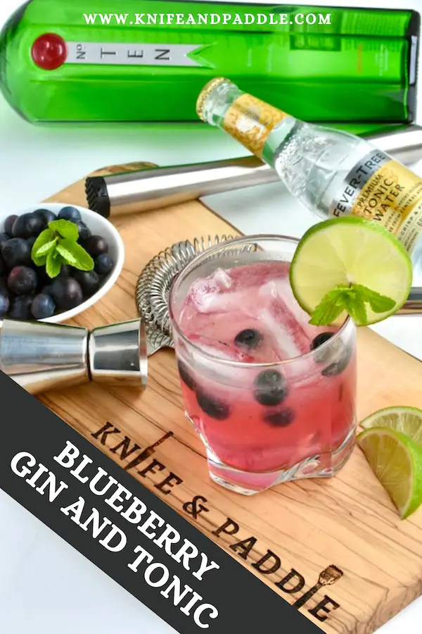 Refreshing Summer Cocktail with Tanqueray 10, tonic water, fresh fruit, and fresh squeezed lime juice 