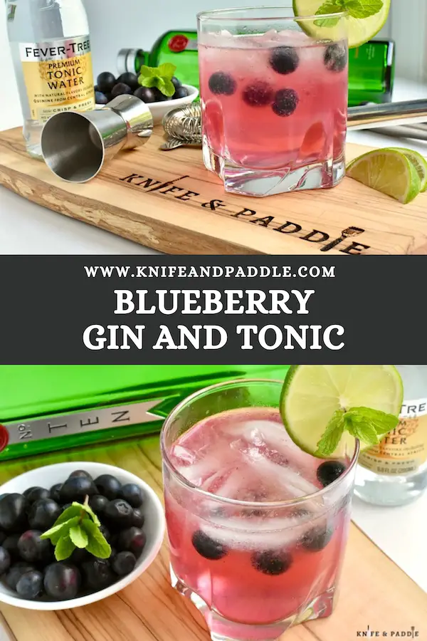 Blueberry Gin and Tonic served with fresh blueberries, a lime wheel and fresh mint sprig