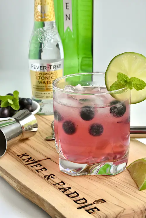 Blueberry Gin and Tonic served with fresh blueberries, a lime wheel and fresh mint sprig