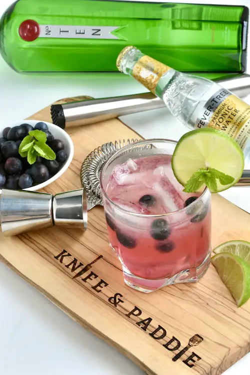 Blueberry Gin and Tonic served with fresh blueberries, a lime wheel and fresh mint sprig