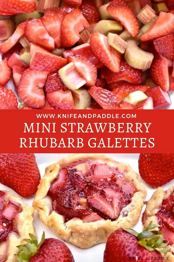 Strawberry Rhubarb Galettes on a plate