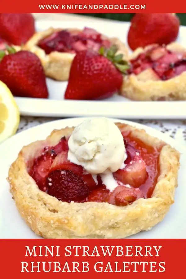 Mini Strawberry Rhubarb Galette on a plate with a scoop of ice cream