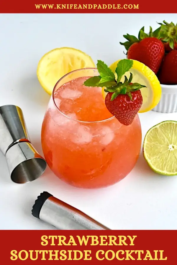 Refreshing Fruity Summer Cocktail