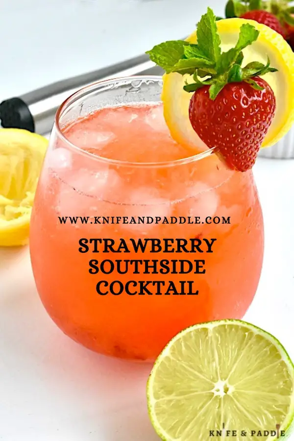 Refreshing Fruity Summer Cocktail