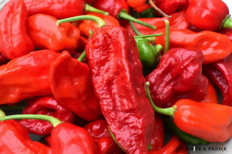 red fiery peppers