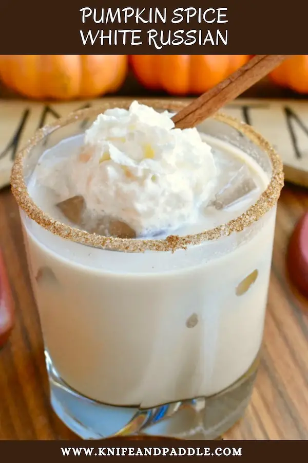 Festive fall inspired creamy drink